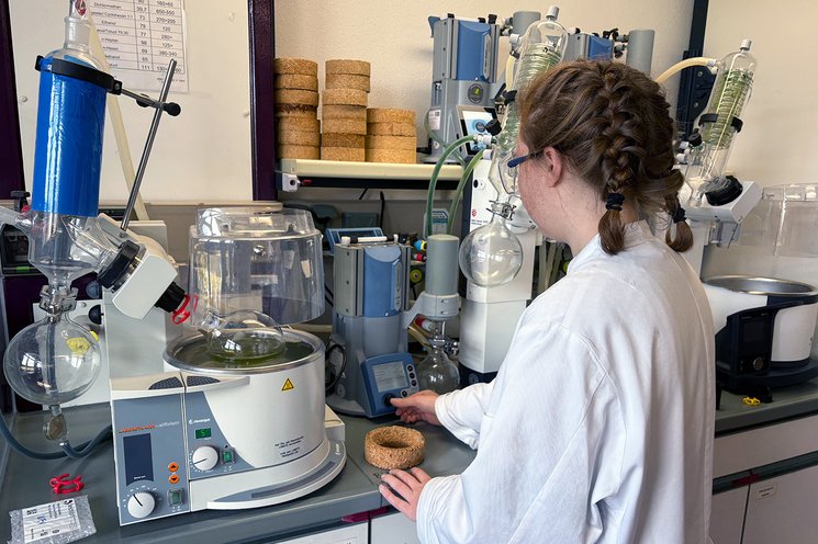 Chemistry lab user working at a benchtop table on a vacuum pump connected with a rotary evaporator with the goal of preparing samples for food analysis.
